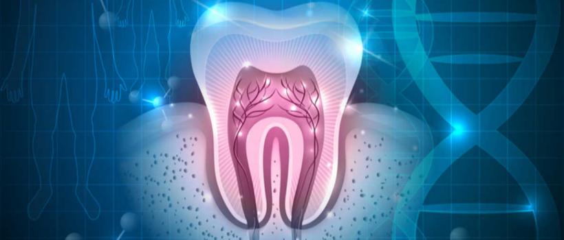 Tooth Regeneration Market