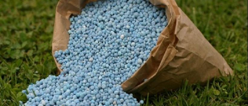 Transgenic Seeds Market | Market Data Forecast 2024