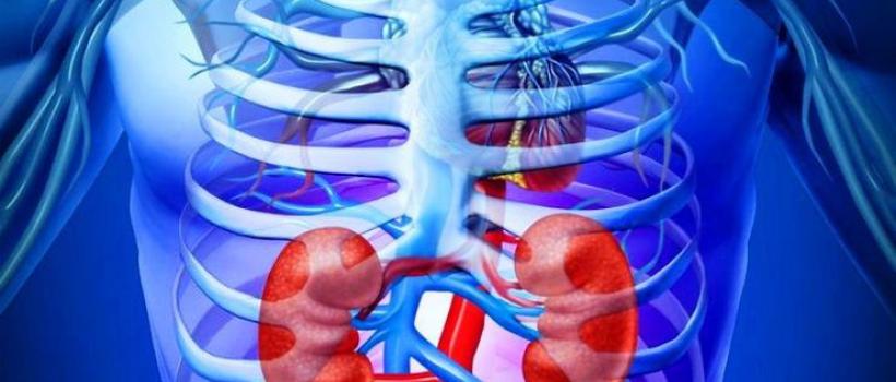 Transplant Diagnostics, Transplant Diagnostics Market, Transplant Diagnostics Market Growth