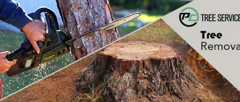 Tree Removal Melbourne