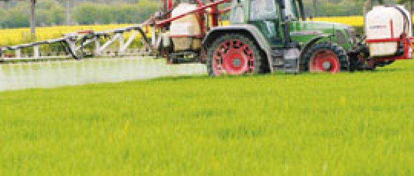 Triazole Fungicides