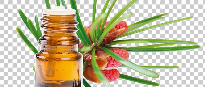 Turpentine Oil 