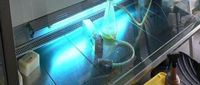 UV light stabilizers Market