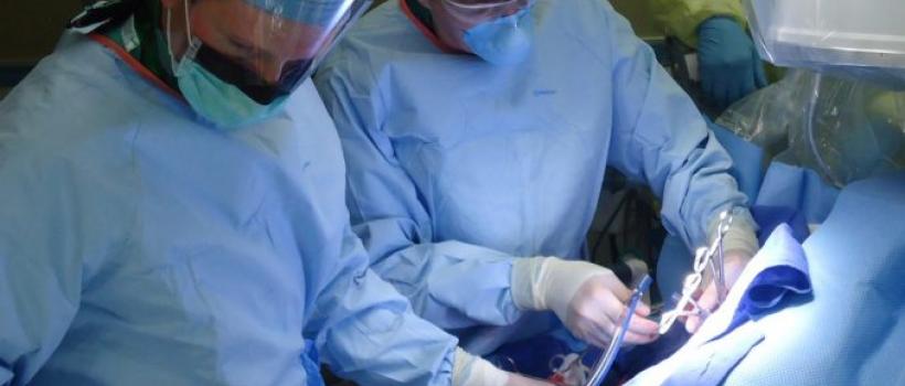 Ultrasonic Tissue Ablation System