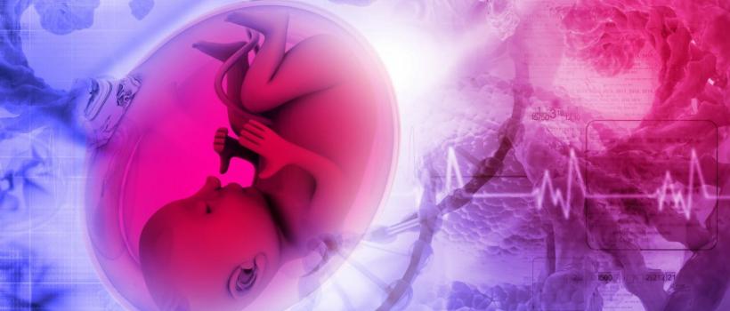 United States Non-Invasive Prenatal Testing (NIPT) Market