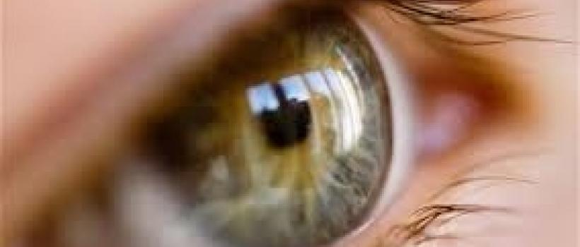 Usher Syndrome Threapeutics 