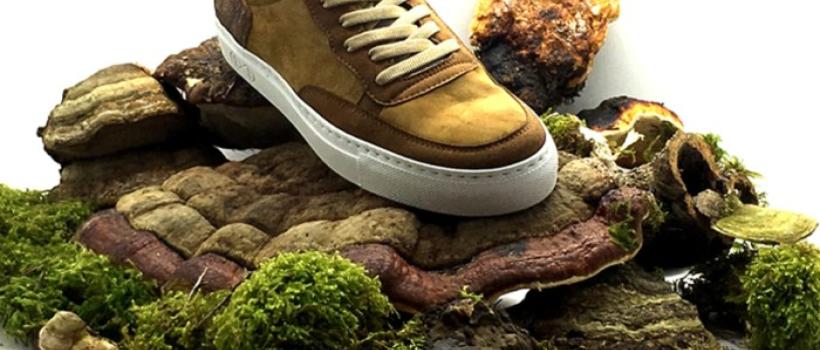 Vegan Footwear Market