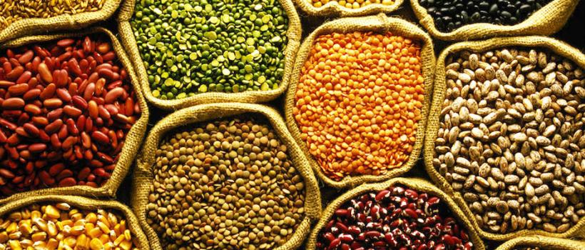 Vegetable Seed Market 
