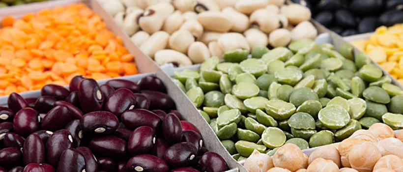 Vegetable Seeds Market