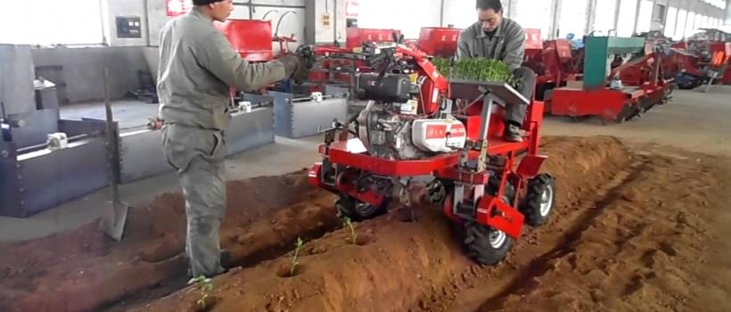 Vegetable Transplanters, Vegetable Transplanters Market, Vegetable Transplanters Market Growth