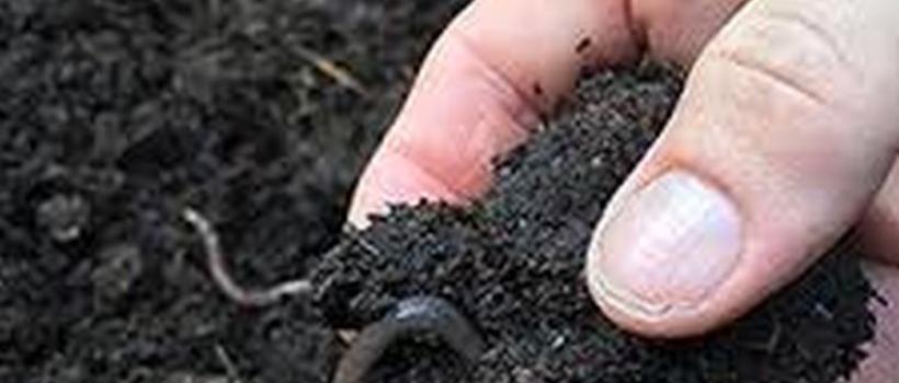 Vermicompost Industry