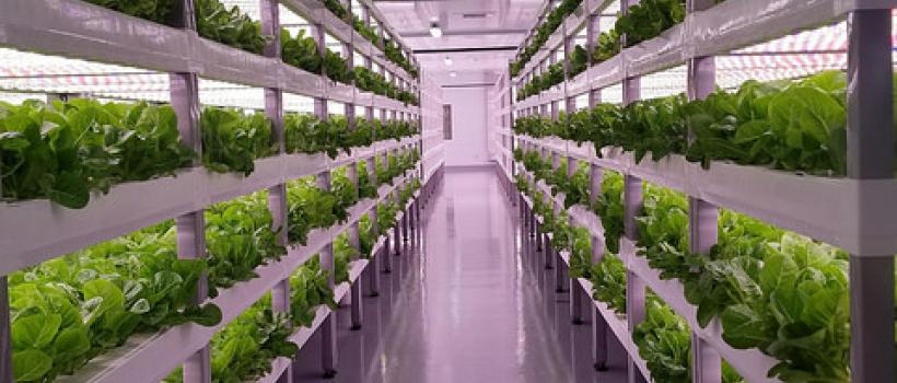 Vertical Farming