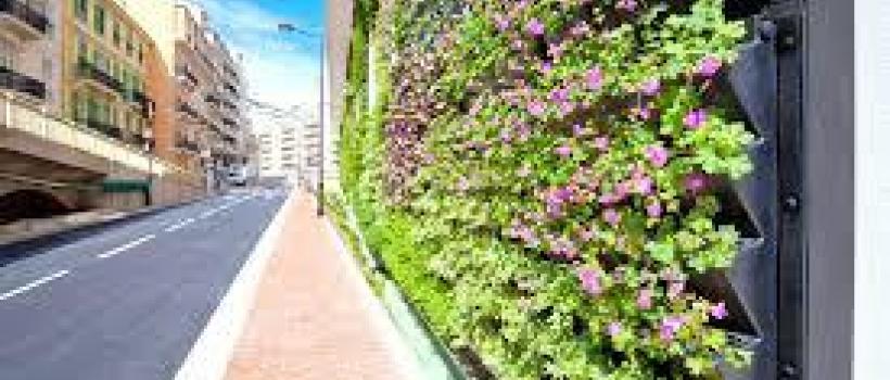 Vertical Garden Construction Market
