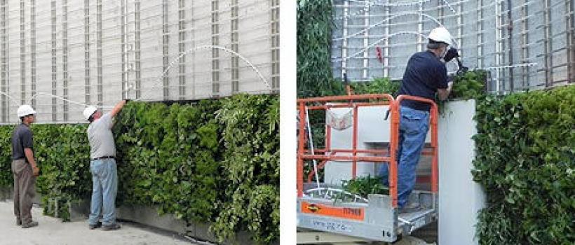Vertical Garden Constructions Market