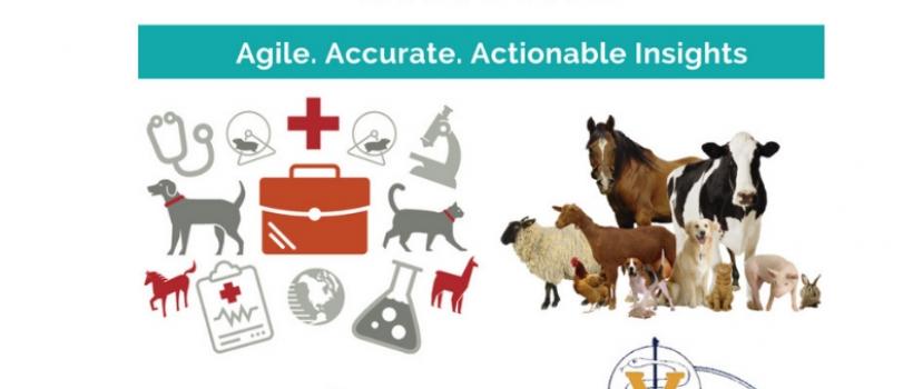  Veterinary Diagnostic Analyzers Market