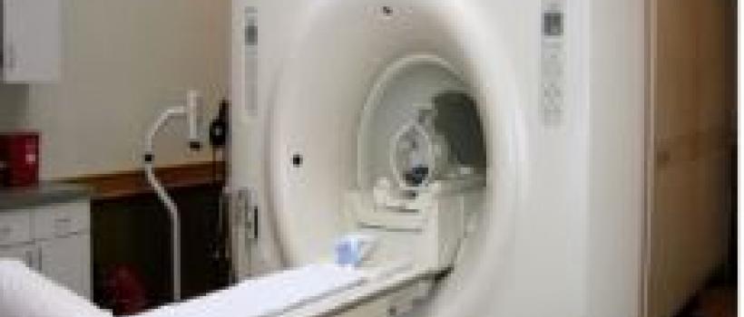 Veterinary Diagnostic Equipment Global Market Report 2020