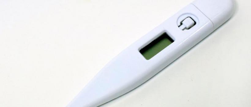 Veterinary Thermometer Market