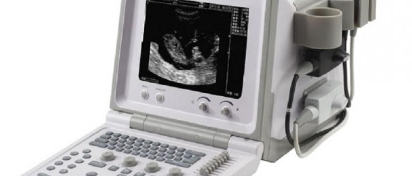 Veterinary Ultrasound Scanners Market