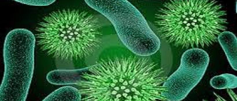 Viral Disease Diagnosis Industry
