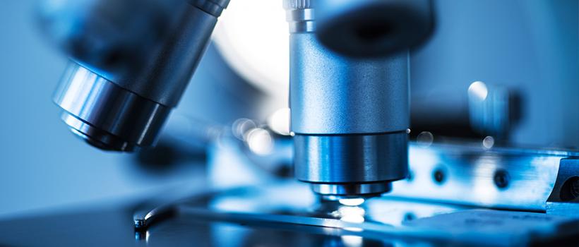 Viral Vector Development Service