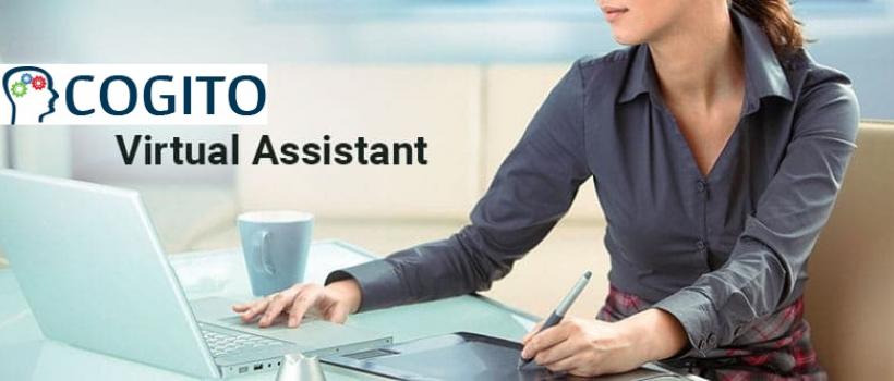 Virtual Assistant Training