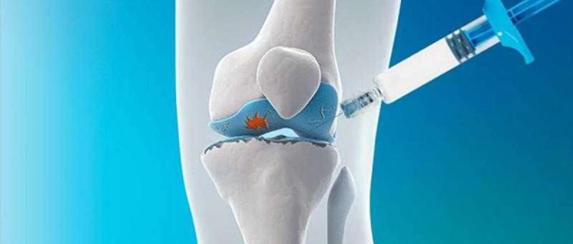 Viscosupplementation Market