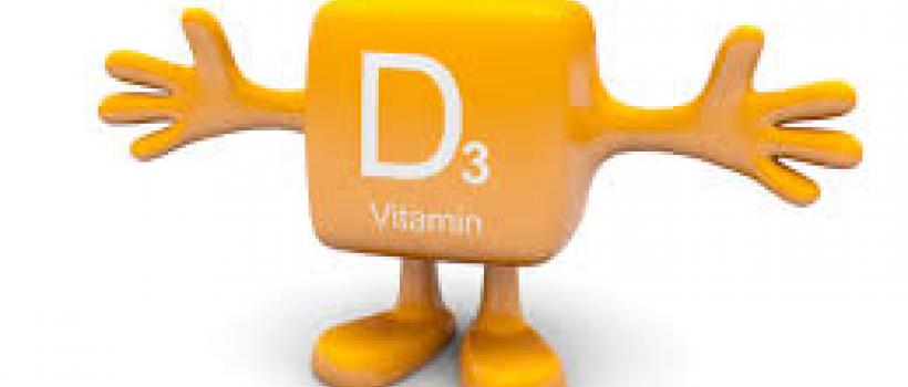 Vitamin D3 Market