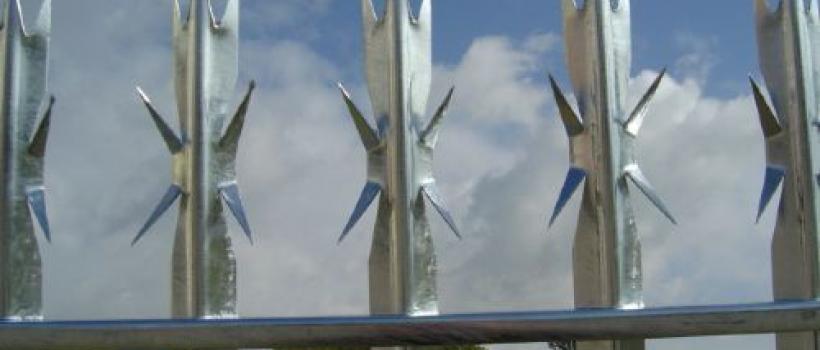 Wall Spikes