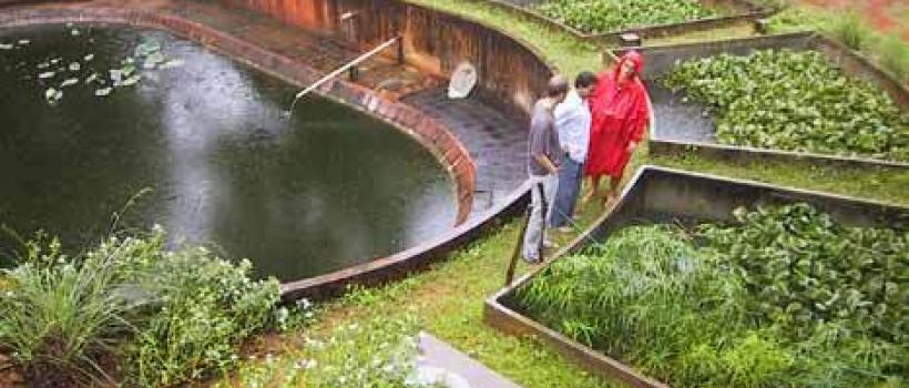  Wastewater Filtration Systems 