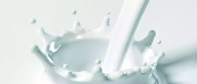 Water Based Adhesive