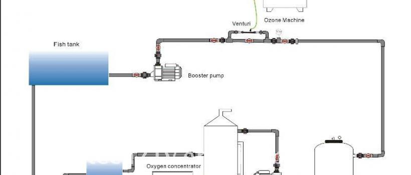 Water Treatment for Aquaculture market