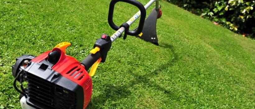 Weed Whackers, Weed Whackers Market, Weed Whackers Market Growth