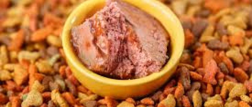 Wet Pet Food 