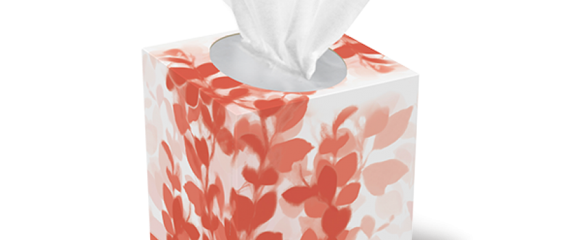  Wet Tissues and Wipes Market