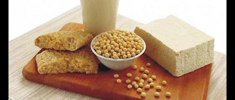 Wheat Protein Isolates