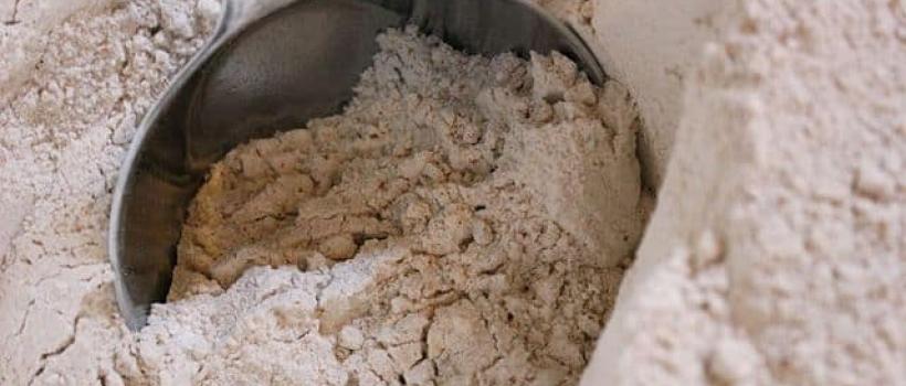 Wheat Protein Isolates
