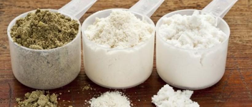Whey Protein Ingredients