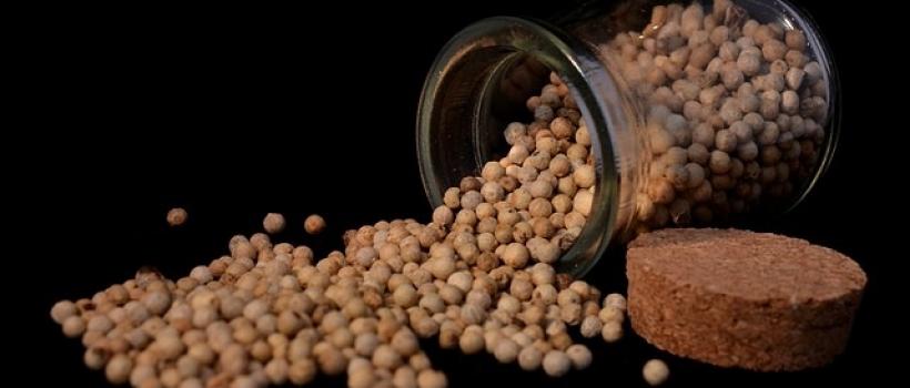 White Pepper Market- Fact.MR