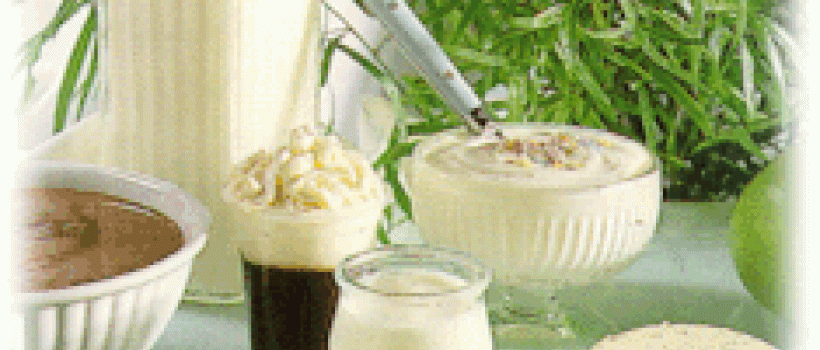 Whole Yogurt Powder 