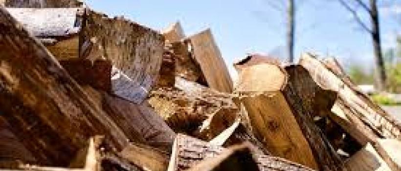 Wood Pellet