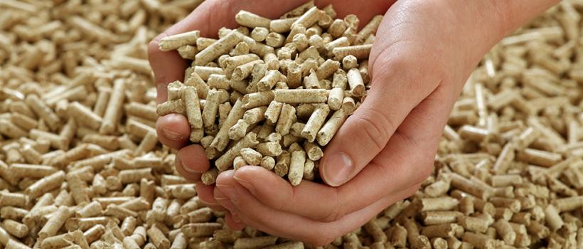   Wood-Pellets