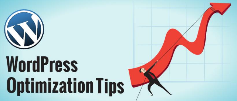 WordPress optimization tools