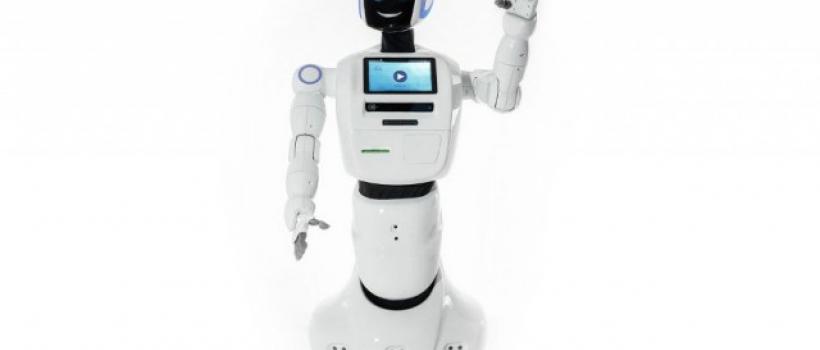 World Service Robot Industry