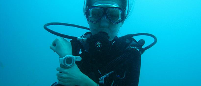 Wrist Dive Computers Market 