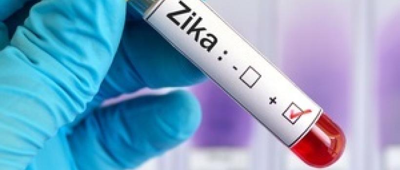 Zika Virus Vaccines
