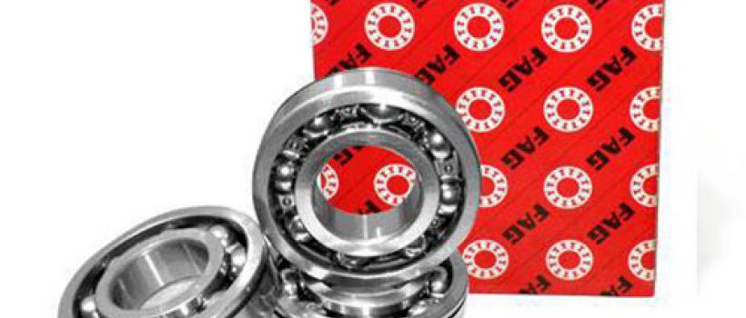 SKF Bearing dealer in Delhi