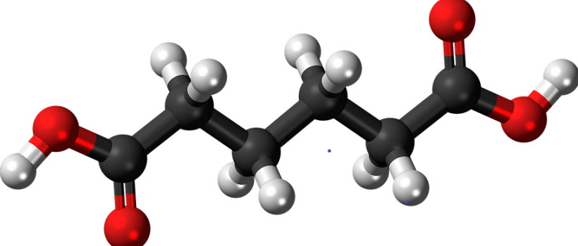 Adipic Acid Market