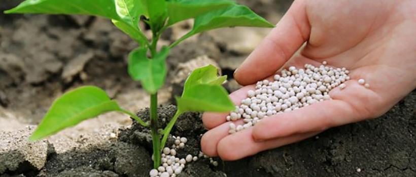 Agricultural Micronutrients Market