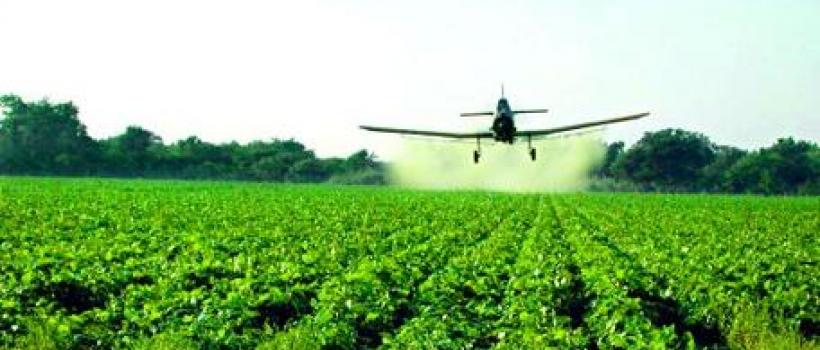 Agricultural Pesticide Market