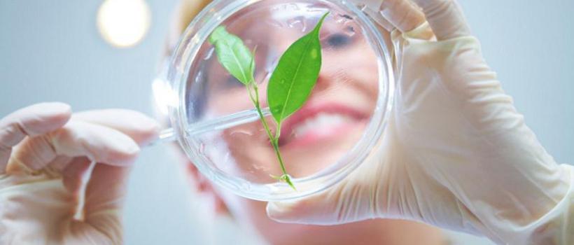Global Agricultural Biologicals Market